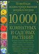 10000 комнатных и садовых растений. Альбом, Дмитрий Лазаревич Григорьев 