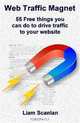 Web Traffic Magnet: 55 free things you can do to drive traffic to your website, Liam Scanlan 