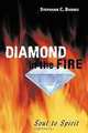 Diamond in the Fire: Soul to Spirit, Stephanie C. Barnes 