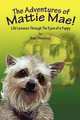 The Adventures of Mattie Mae: Life Lessons Through The Eyes of A Puppy, Beth Silverberg 