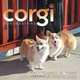 Corgi Confessions, Caroll O. Knipe 