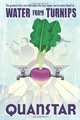 Water From Turnips: The Greatest Story Ever Told About the Best Rapper You