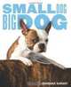 Small Dog, Big Dog, Barbara Karant 