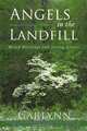 Angels in the Landfill: Mixed Blessings and Saving Graces, Carlynn 
