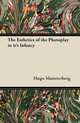 The Esthetics of the Photoplay in it