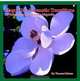 Magnolias: Thematic Transitions: A Photographic Study of the Magnolia, Thomas Nations 