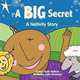 A BIG Secret: A Nativity Story, Sally Wallace 