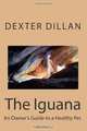 The Iguana: An Owner