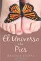 El Universo a tus Pies (Spanish Edition), Graciela Zozaya 