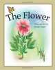 The Flower, Wendy Taylor 