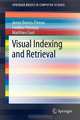 Visual Indexing and Retrieval (SpringerBriefs in Computer Science), Jenny Benois-Pineau, Frederic Precioso, Matthieu Cord 