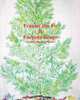 Frasier the Fir is Forever Green, Cynthia Meyers-Hanson 
