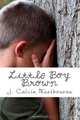 Little Boy Brown, Mr J. Calvin Westbourne 