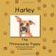Harley, The Throwaway Puppy, Elisabeth Davis 