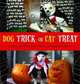 Dog Trick or Cat Treat: Pets Dress Up for Halloween, Archie Klondike 