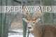 Deer World, Dave Taylor 