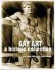 Gay Art: A Historic Collection, Felix Lance Falkon, Thomas Waugh 