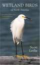 Wetland Birds of North America: A Guide to Observation, Understanding and Conservation, Scott Leslie 