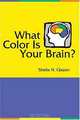 What Color Is Your Brain: A Fun and Fascinating Approach to Understanding Yourself and Others, Sheila N Glazov 