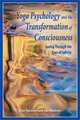 Yoga Psychology and the Transformation of Consciousness: Seeing Through the Eyes of Infinity, Don Salmon, Jan Maslow 