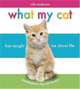 What My Cat Has Taught Me About Life, Niki Anderson 