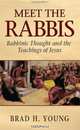 Meet the Rabbis: Rabbinic Thought and the Teachings of Jesus, Brad H. Young 