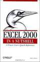 Excel 2000 in a Nutshell: A Power User
