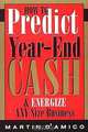 How to Predict Year-End Cash & Energize Any Size Business, Martin D
