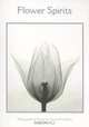 Flower Spirits Boxed Notecards, Steven N. Meyers 