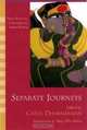 Separate Journeys: Short Stories by Contemporary Indian Women, 