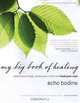 My Big Book of Healing: Restore Your Body, Renew Your Mind, and Heal Your Soul, Echo Bodine 