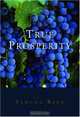 True Prosperity, Yehuda Berg 