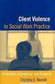 Client Violence in Social Work Practice: Prevention, Intervention, and Research, Christina E. Newhill 