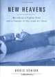 New Heavens: My Life as a Fighter Pilot and a Founder of the Israel Air Force (Potomac Books