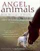 Angel Animals: Divine Messengers of Miracles, Allen Anderson, Linda Anderson 