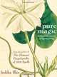 Pure Magic: A Complete Course in Spellcasting, Judika Illes 
