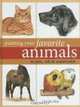 Painting Your Favorite Animals in Pen, Ink and Watercolor, Claudia Nice 
