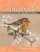 Painting Songbirds With Sherry C. Nelson: 15 Beautiful Birds in Oil, Sherry C. Nelson 