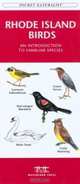 Rhode Island Birds: An Introduction to Familiar Species (Pocket Naturalist - Waterford Press), James Kavanagh 