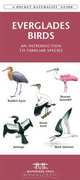 Everglades Birds: An Introduction to Familiar Species (Pocket Naturalist - Waterford Press), James Kavanagh 