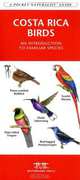 Costa Rica Birds: An Introduction to Familiar Species, James Kavanagh 