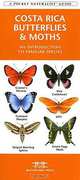 Costa Rica Butterflies & Moths: An Introduction to Familiar Species, James Kavanagh 