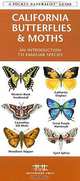 California Butterflies & Moths: An Introduction to Familiar Species, James Kavanagh 