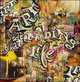 Art, Skateboarding and Life (Book & 2 DVDs), Andy Howell 
