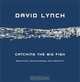 Catching the Big Fish: Meditation, Consciousness, and Creativity, David Lynch 
