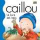 Caillou: LA Hora Del Bano (Caillou (Spanish)), Joceline Sanschagrin 