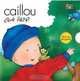 Caillou Que Falta? (Caillou Escondite (Peek-a-Boo)), Fabien Savary 