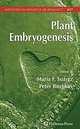 Plant Embryogenesis, 