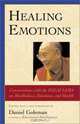 Healing Emotions : Conversations with the Dalai Lama on Mindfulness, Emotions, and Health, Daniel Goleman 