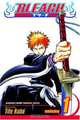 Bleach, Vol. 1: The Death and the Strawberry, Tite Kubo 